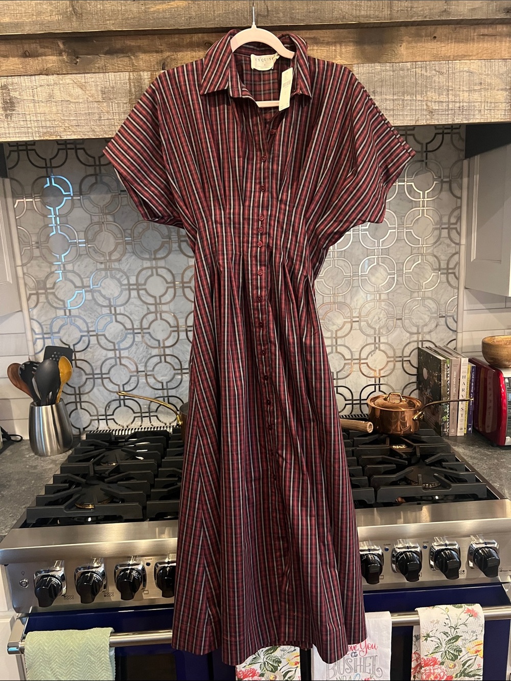 Anthropologie EXQUISE Dress NWT Size small